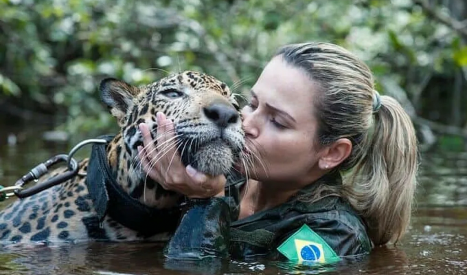 Тоже кошка, но только большая: необычная история ягуара в бразильской армии (3 фото)