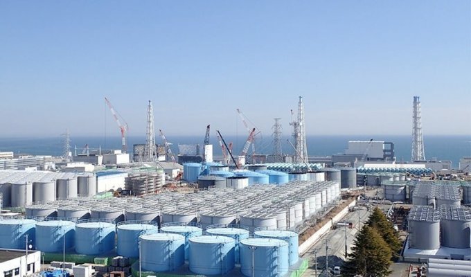 АЭС Фукусима-1 -разбор полётов (3 фото)