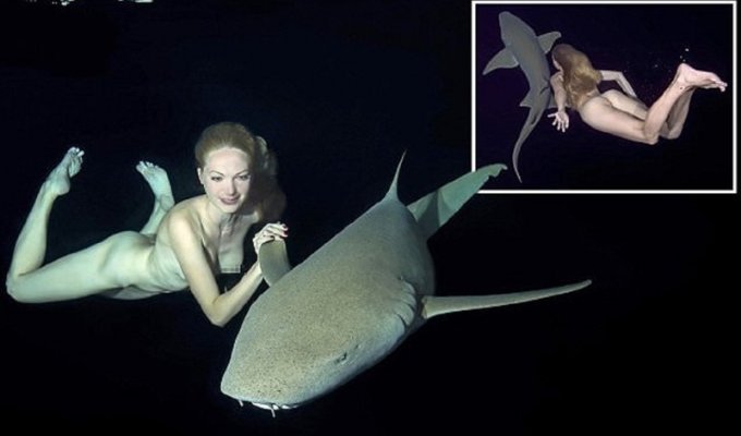 Русскя модель совершает заплыв с акулами! (14 фото + 1 видео) (эротика)