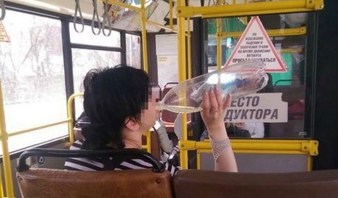 В Перми пьяная девушка-кондуктор бесплатно прокатила пассажиров (3 фото)