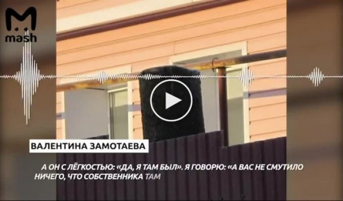 Чиновники из Нижегородской области украли ёлку с участка местной жительницы ёлка