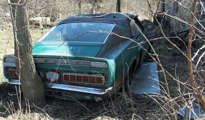 Посмотрите как умирают легенды: Shelby GT350 и кабриолет Camaro (8 фото)