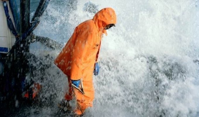 Одной из самых опасных профессия в мире является профессия рыбака (13 фото)