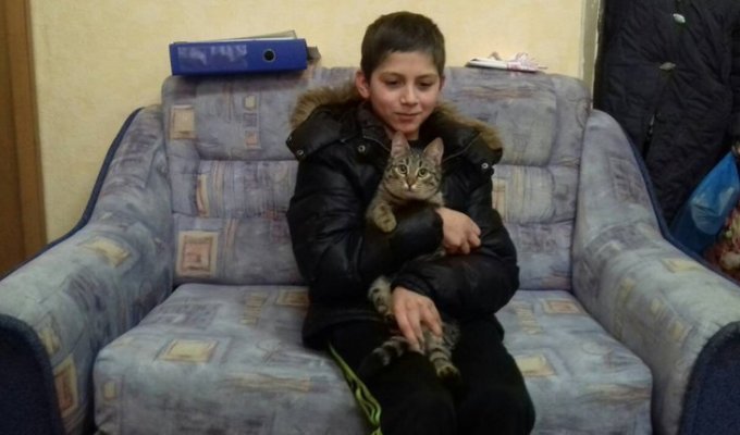 Бездомный кот спас потерявшегося мальчика в Калининградской области (2 фото)