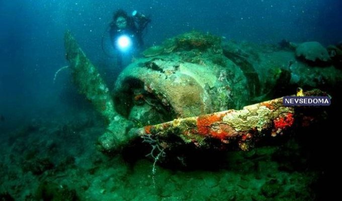 Подводнные сокровища (69 фото)