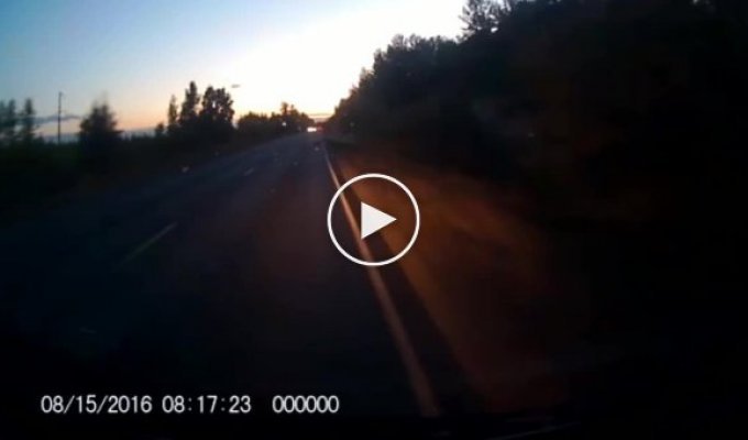 Под Воронежем водитель фуры устроил смертельное ДТП и сбежал