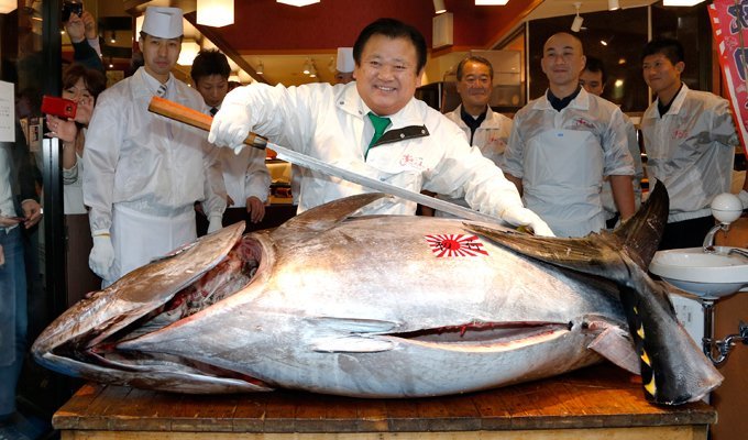 Самый дорогой тунец 2014 года (5 фото)