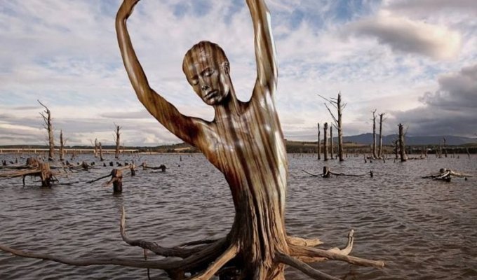 Невероятно реалистичные скульптуры из дерева (22 фото)