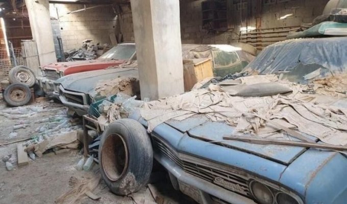 Дедушкины сокровища: в Бахрейне нашли заброшенную коллекцию классических авто (10 фото)