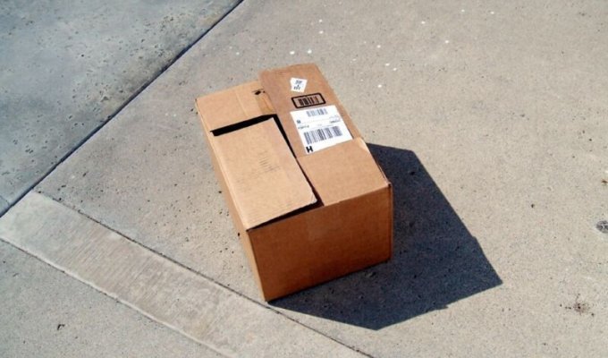 Мужчина нашёл загадочную коробку у себя под дверью (3 фото)