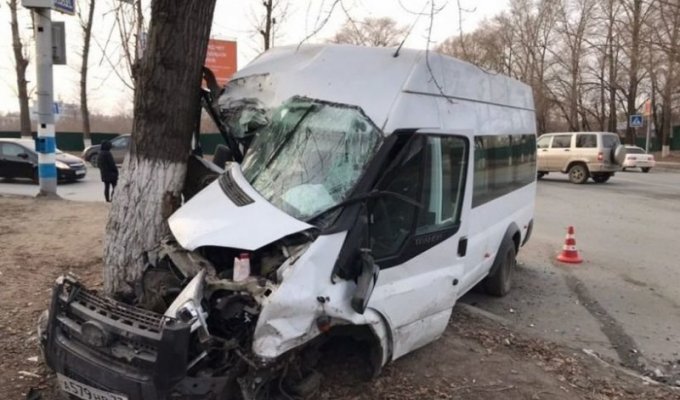 В Ульяновске водитель маршрутки снес иномарку и врезался в дерево (4 фото + 1 видео)