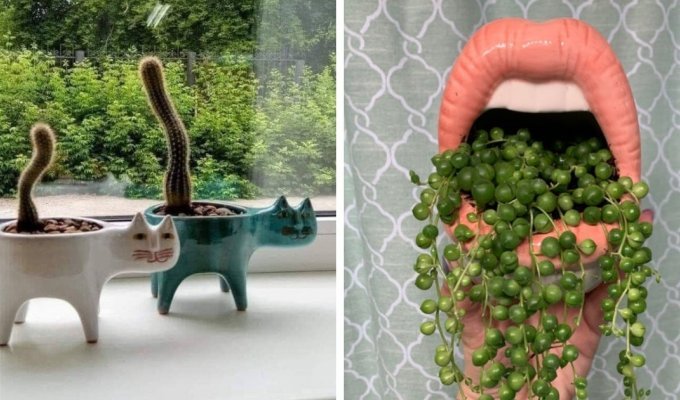 15 случаев, когда люди превратили скучные горшки для растений в настоящие арт-объекты (16 фото)