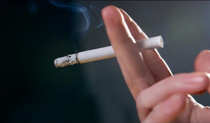 Как были получены факты о вреде пассивного и активного курения (5 фото)