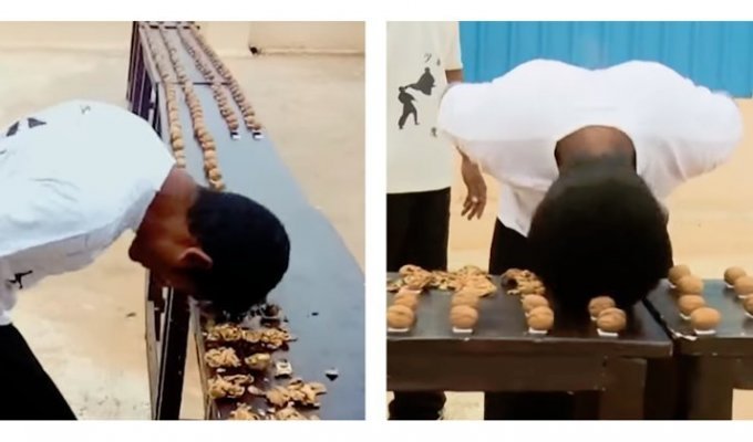 Поработал головой: индиец разбил лбом 217 орехов (2 фото + 1 видео)