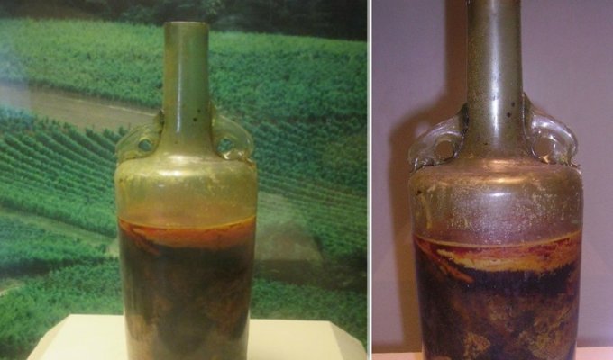 Самая старая бутылка вина в мире (4 фото)