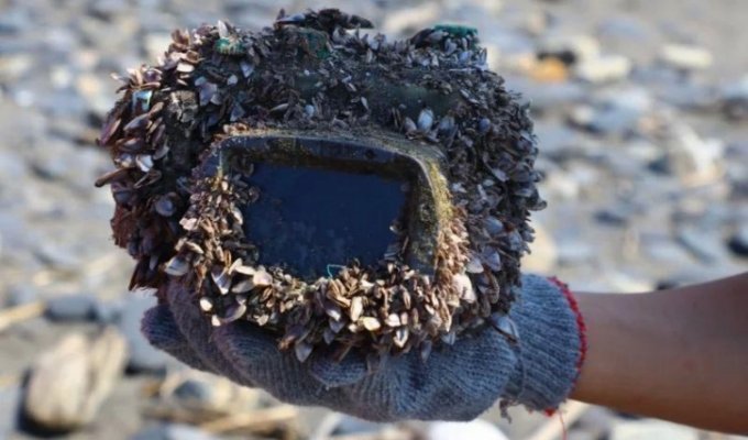Фотоаппарат, потерянный в море больше 2 лет назад вернулся к владельцу, и он ещё работал (13 фото)
