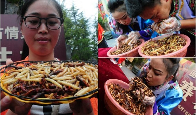 Китаец выиграл золото скушав 1.23 кг жареных жуков за пять минут (13 фото)