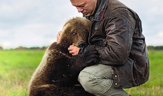 Бурого медведя спасла команда летчиков (3 фото + 3 видео)