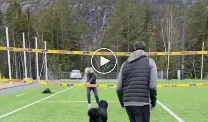 Норвежец научил свою собаку играть в волейбол