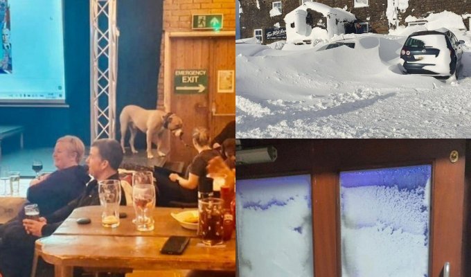 Готовый сценарий для новогодних каникул: десятки британцев провели три дня в пабе, засыпанном снегом (8 фото + 2 видео)