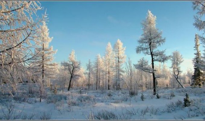 Зима (19 фото)