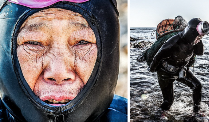 Корейские русалки: последнее поколение Хэнё (12 фото)