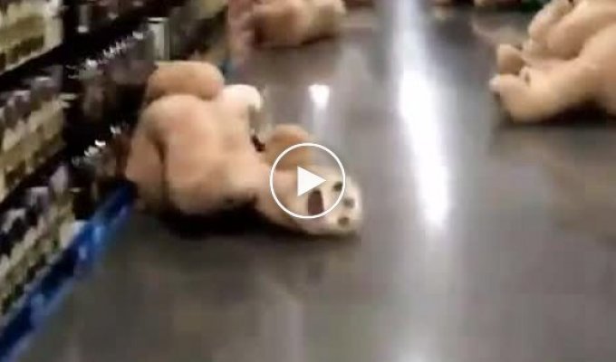 Флешмоб пьяных игрушечных медведей в супермаркете