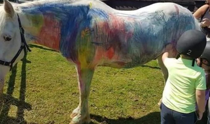 Живой холст: британские зоозащитники требуют запретить рисовать на пони (4 фото)