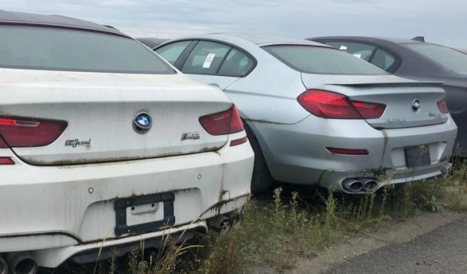 На стоянке в Канаде стоит три тысячи новеньких, но непригодных для эксплуатации BMW и MINI (3 фото)
