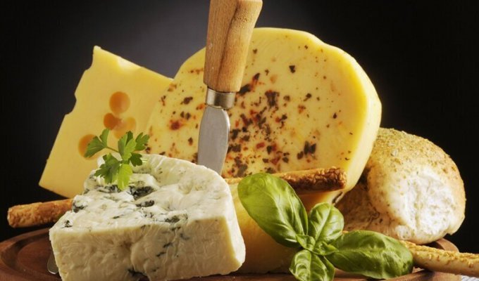 Самый дорогой сыр в мире (20 фото)