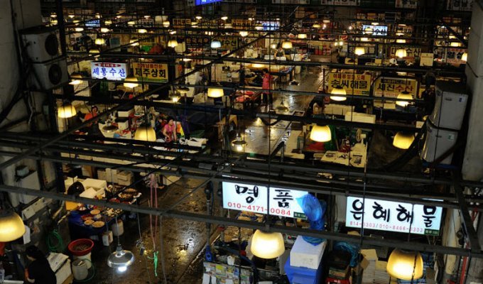 Знаменитый рыбный рынок в Сеуле (109 фото)