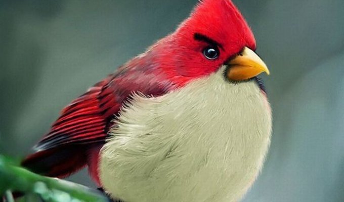 Angry Birds в реальной жизни (7 фото)