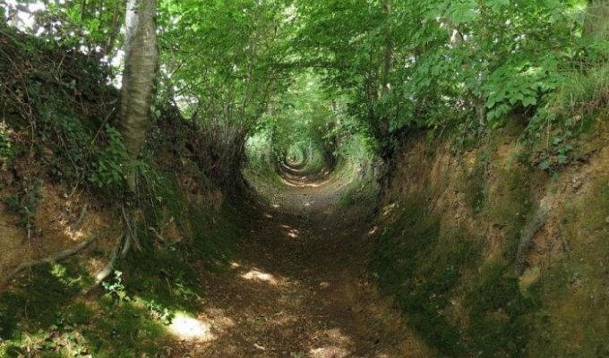 Ушедшие под землю старые дороги Европы (8 фото)