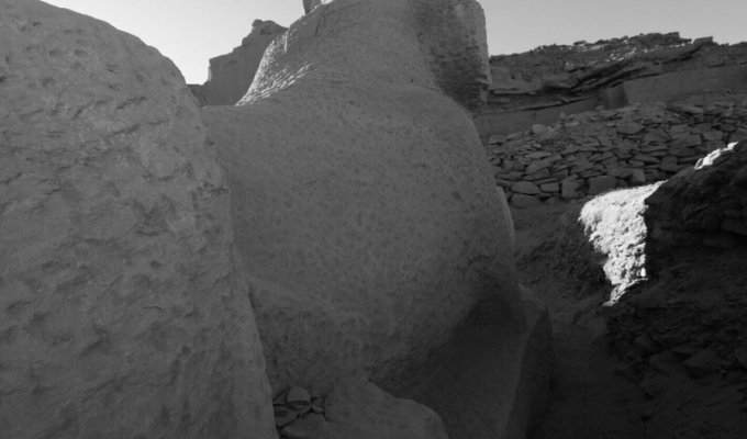 В Египте откопали криосфинкса времен дедушки Тутанхамона (8 фото)