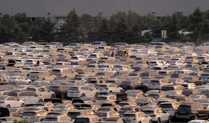 Огромная автостоянка в Китае, где сушат тысячи автомобилей после наводнения (4 фото + 1 видео)