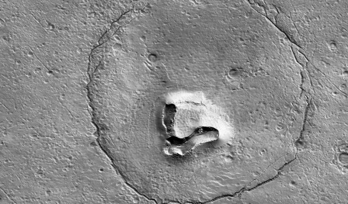 NASA обнаружило на Марсе камни, похожие на плюшевого мишку (2 фото)