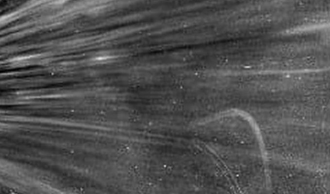 Зонд Parker Solar Probe передал первые фотографии "короны" Солнца (6 фото)
