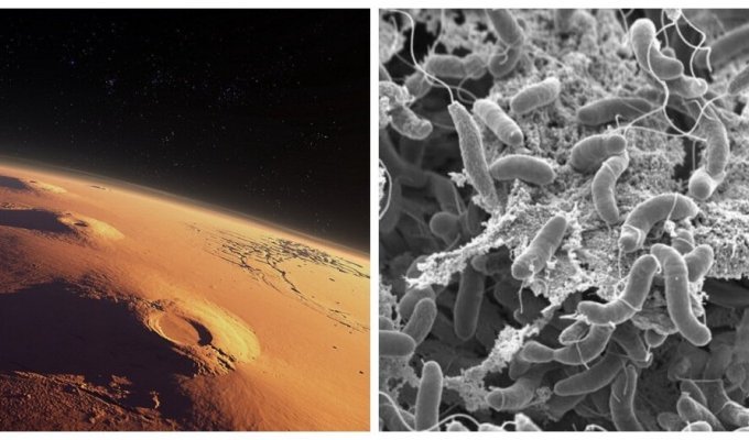 На Красной планете обнаружились зоны, которые можно использовать для жизни (5 фото)