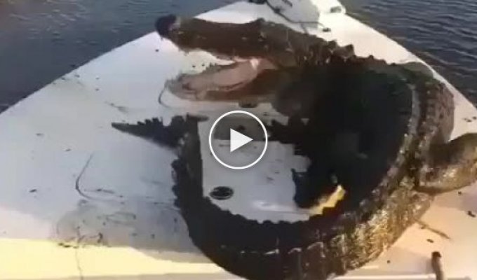 Мужчины на лодке не побоялись и прогнали крокодила с лодки
