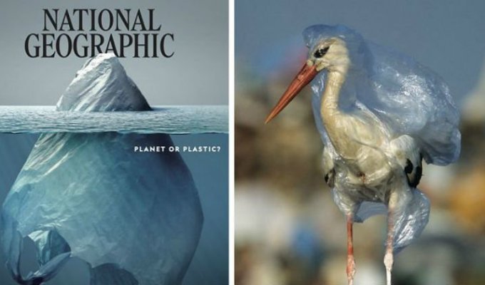 Что скрывает обложка номера журнала National Geographic (23 фото + 1 видео)