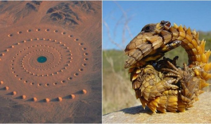 Самые странные находки, сделанные в пустыне (16 фото)
