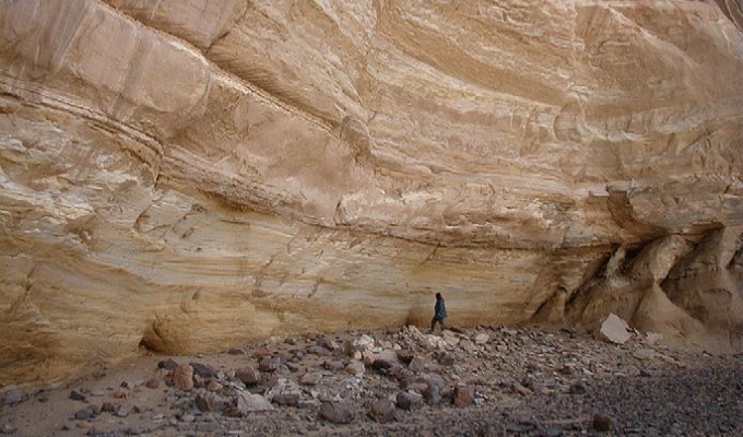 В Сахаре было много рыбы около 10 тысяч лет назад (5 фото)