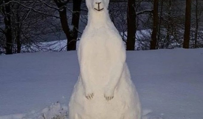 Подборка забавных и необычных снеговиков (16 фото)