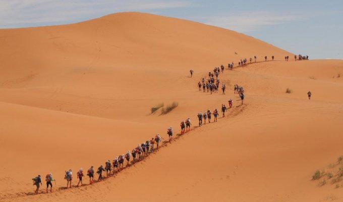 Песчаный марафон (13 фото)
