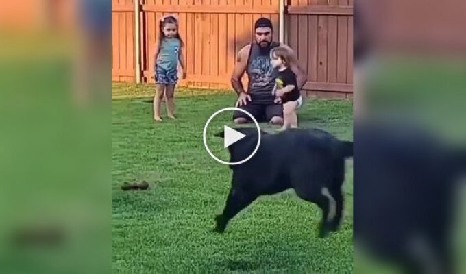 Отец хотел научить детей играть с собакой