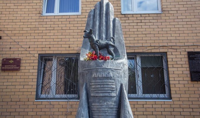 Москва. Памятник собаке Лайке - самому первому космонавту (4 фото)
