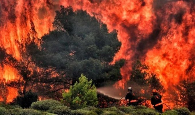 Пожары в Греции: ад на Земле (13 фото + 1 видео)