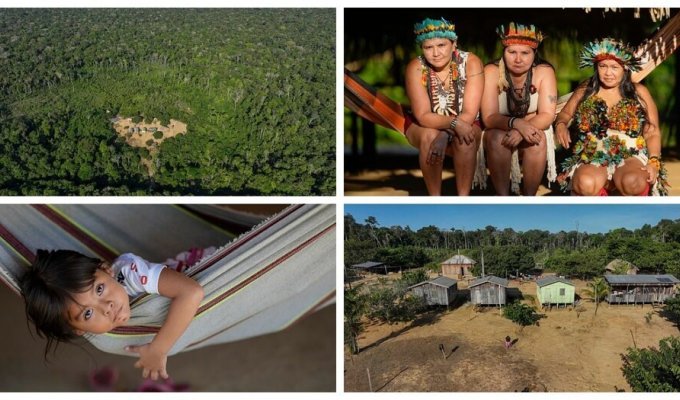 История коренных жительниц Амазонки, которые спасли свое племя от вымирания (16 фото)
