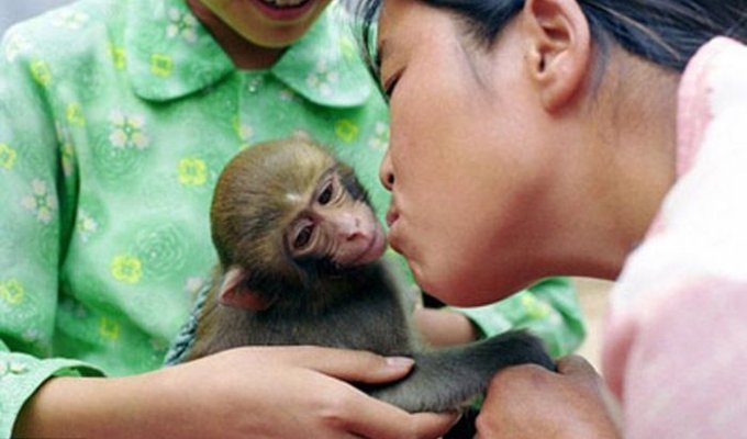 Кормит обезьяну как собственного ребенка (3 фото)