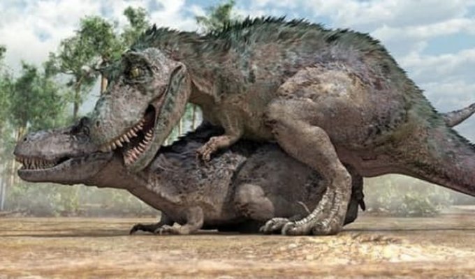 Загадки динозавров, пока не разгаданные учеными (16 фото)
